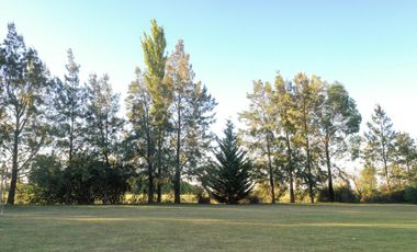 Chacra de 7 hectáreas con importantes mejoras