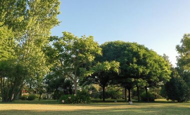 Chacra de 7 hectáreas con importantes mejoras