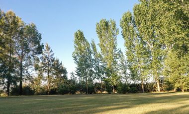 Chacra de 7 hectáreas con importantes mejoras