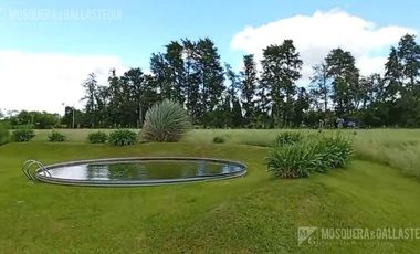 Muy linda Chacra de 3 hectareas a la venta en  Gualeguay!!