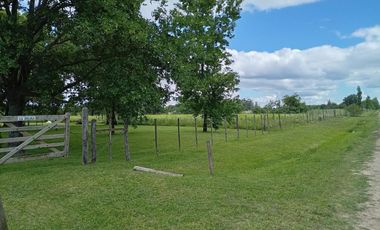 Muy linda Chacra de 3 hectareas a la venta en  Gualeguay!!