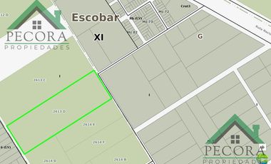 Campo - Terreno - zona industrial - Loma Verde - Escobar.