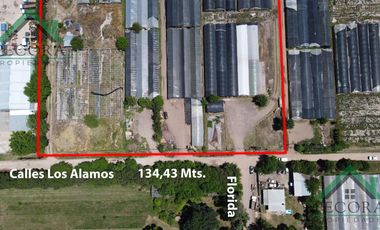 Campo - Terreno - zona industrial - Loma Verde - Escobar.