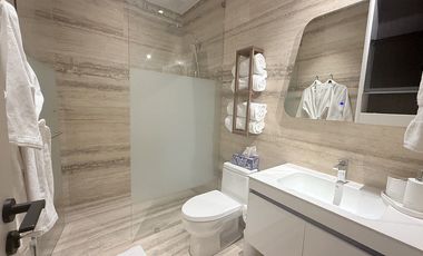 Departamento ejecutivo en renta amueblado de lujo  Polanco