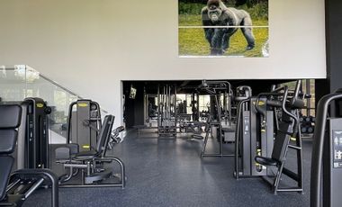 Renta Moderno departamento  2 recamaras en El Bosque Vista Hermosa