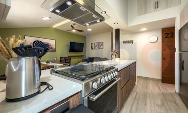 Departamento amueblado en Renta en Villas del Parque