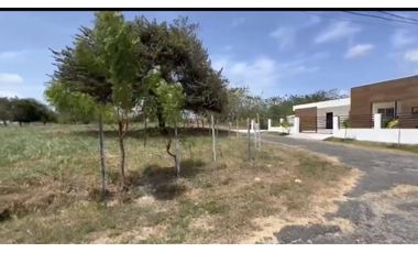 Venta de Terreno Plano en Coronado - Playa Serena.