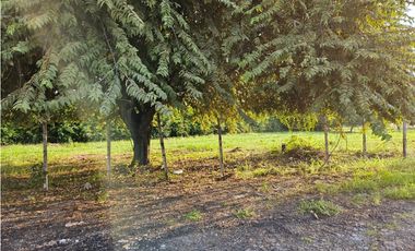 Venta de Terreno Plano en Coronado - Playa Serena.