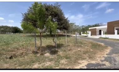 Venta de Terreno Plano en Coronado - Playa Serena.