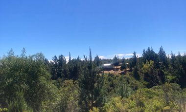 Venta hermosa parcela en Litueche, 6.000 mts2