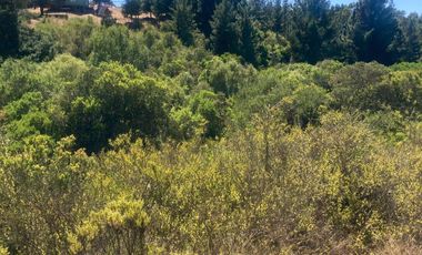 Venta hermosa parcela en Litueche, 6.000 mts2