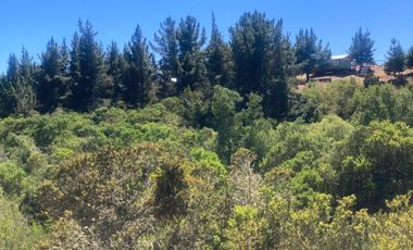 Venta hermosa parcela en Litueche, 6.000 mts2