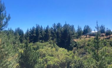 Venta hermosa parcela en Litueche, 6.000 mts2