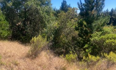 Venta hermosa parcela en Litueche, 6.000 mts2