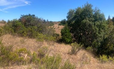 Venta hermosa parcela en Litueche, 6.000 mts2