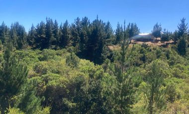 Venta hermosa parcela en Litueche, 6.000 mts2