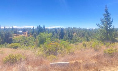 Venta hermosa parcela en Litueche, 6.000 mts2