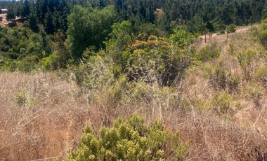 Venta hermosa parcela en Litueche, 6.000 mts2