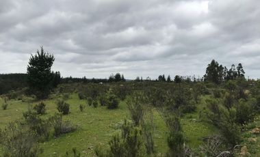 Venta hermosa parcela en Litueche, 6.000 mts2