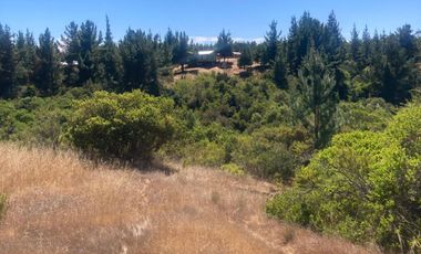 Venta hermosa parcela en Litueche, 6.000 mts2