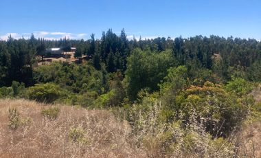 Venta hermosa parcela en Litueche, 6.000 mts2