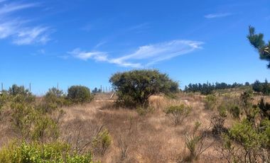 Venta hermosa parcela en Litueche, 6.000 mts2