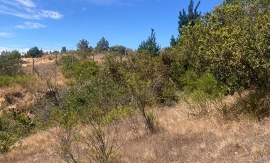 Venta hermosa parcela en Litueche, 6.000 mts2