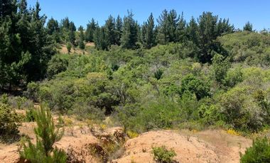 Venta hermosa parcela en Litueche, 6.000 mts2