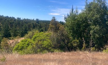 Venta hermosa parcela en Litueche, 6.000 mts2