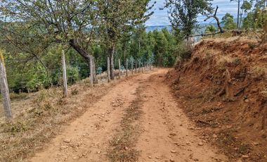 A 17 KM DE GORBEA.