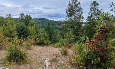 A 17 KM DE GORBEA.