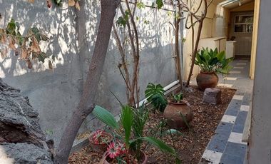 CHILOÉ ESQUINA LLICO