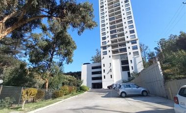 Departamento en Arriendo en Edificio Valle los Ingleses 1