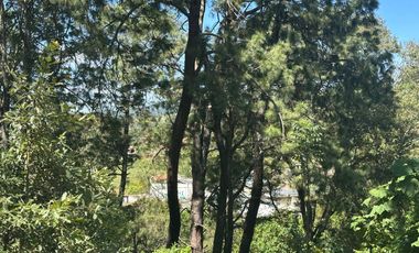 Terreno en Mazamitla dentro de  La Herradura