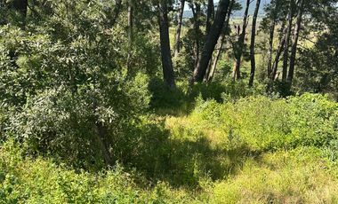 Terreno en Mazamitla dentro de  La Herradura