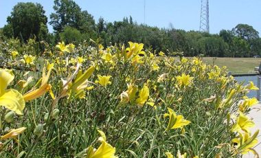 Venta de Departamento de 2 dormitorios, vista al rio y jardin exclusivo en Albanueva, posible amarra