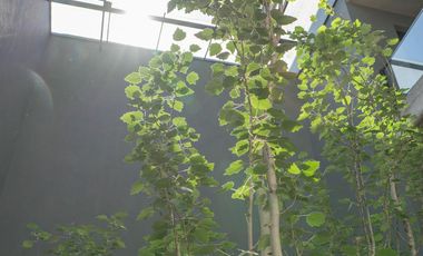 Tigre 2 ambientes con balcon terraza y parrilla, amenities