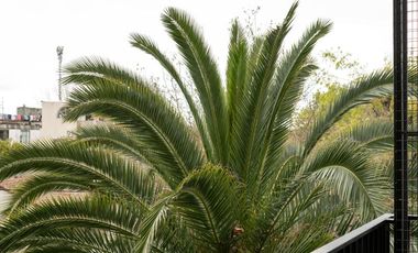 Tigre 2 ambientes con balcon terraza y parrilla, amenities