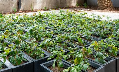 Lencke vende - a estrenar, 2 ambientes con parrilla y jardin propios, financiacion