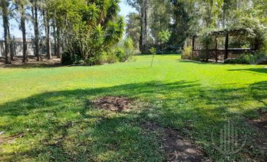 Canning  Echeverria del  Lago