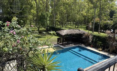 Canning  Echeverria del  Lago