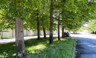 Terreno Construccion en Venta en 2 norte