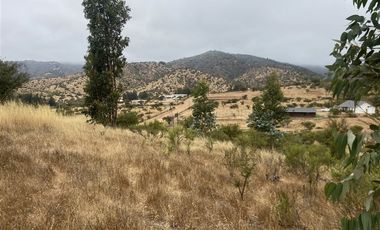 Sitio en Venta en Ruta G-60 / Camino Viejo (La Campiña)