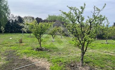 Casa en Arriendo en Carampangue