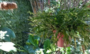 Casa En Venta De 3 Dorm. En Conchalí