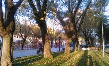 CRISOL ARRIENDA DEPTO AMPLIO, LIMACHE, CERCA HOSPITAL