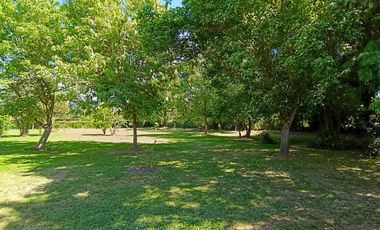 EL ACACIO Y LA CRUZ / CALERA DE TANGO