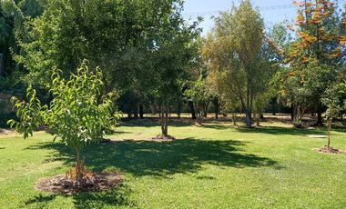 EL ACACIO Y LA CRUZ / CALERA DE TANGO