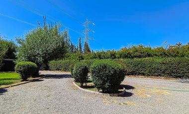 EL ACACIO Y LA CRUZ / CALERA DE TANGO