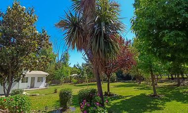 EL ACACIO Y LA CRUZ / CALERA DE TANGO